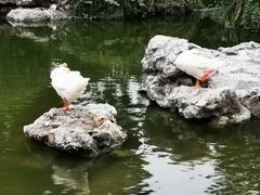 -祝家花園(伯渎港店)