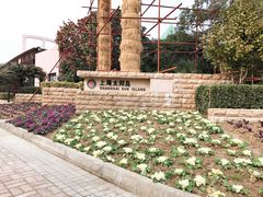 -太阳岛度假酒店