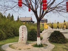 -大槐树寻根祭祖园