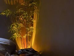 -宁采臣Sleep·采耳·SPA放松馆(湖里万达店)