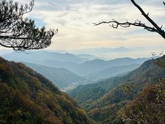 -王顺山国家森林公园
