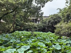 -成都武侯祠博物馆