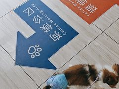 -申普宠物医院·眼科·心内科·影像科(普陀分院)