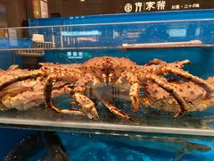 -许家菜(DT51店)