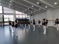 -西安小天鹅艺术团(曲江Alice店)