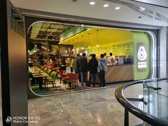 -油梨树AVOCADO TREE(望京店)