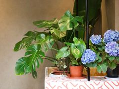 -Dal Cuore 达可芮冰淇淋(陕西北路店)