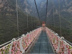 -神农山景区
