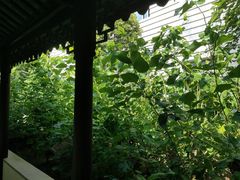 -苏州丝绸博物馆