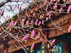 -万寿八仙宫