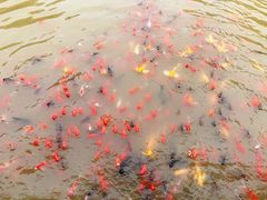 -泰安地下龙宫景区