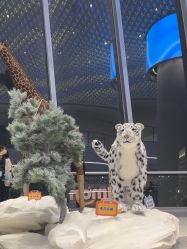 -IMON·HANSA潮玩玩偶毛绒玩具(通州万象汇店)