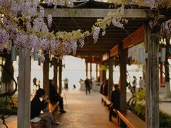 -西湖天地