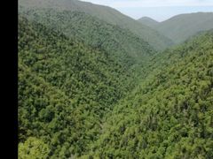 -凤凰山国家森林公园