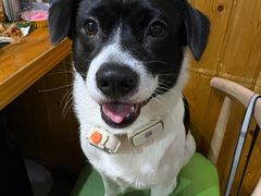 -鹤之乡·齐齐哈尔烤肉·非遗(秋涛路店)