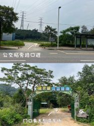 -佛灵湖水上乐园