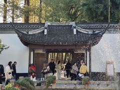 -上海醉白池公园