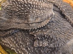 -重庆楊門机场老火锅(20年老店两路总店)