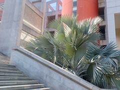 -华侨大学(厦门校区)