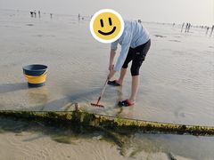 -北海金海湾红树林生态旅游区