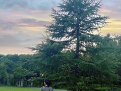 -杭州城北体育公园