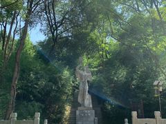 -原山国家森林公园