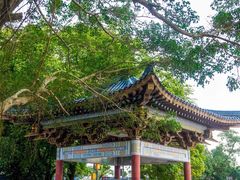 -大清国一号界碑