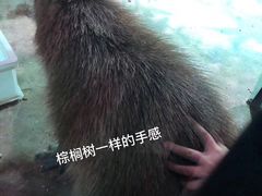 -zoonana室内动物园(东方福来德店)
