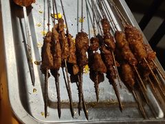 -福苗小骆驼烧烤(莲湖路店)