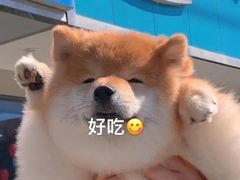 -小民大排档(江汉路店)