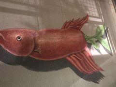 -探鱼·鲜青椒爽麻烤鱼(广州欣荣广场店)