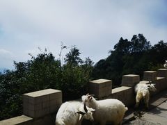 -白草畔自然风景区