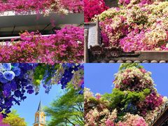 -东方棕泉·洗浴·按摩·美食国际水疗会所(福田店)