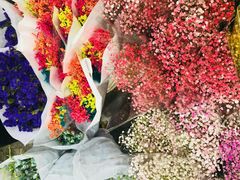 -秦美花卉(天朗·莱茵小城2期店)