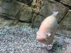 -北京海洋馆