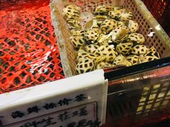-东江港海鲜城(广雅花园别墅区店)