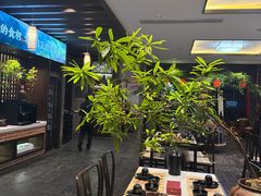 -鸢飞潍坊菜馆(鸢飞大酒店)