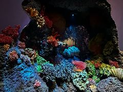 -中国湿地博物馆
