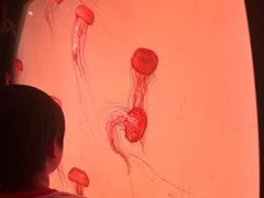 -沈阳海洋探索中心