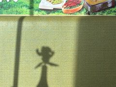 -海底捞火锅(赛格国际购物中心店)