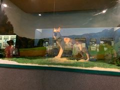 -上海公安博物馆