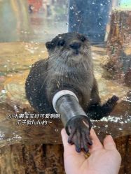 -Zoolung Zoolung动物主题公园(海信广场店)