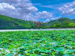 -顺峰山公园