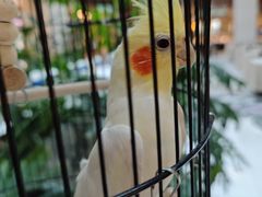 -太湖饭店玉兰厅(自助餐厅)