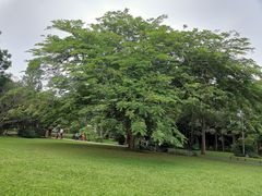 -中国科学院西双版纳热带植物园