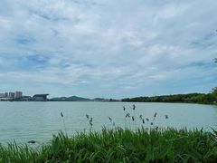 -高子水居