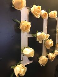 -郑州绿地JW万豪酒店·宴会厅