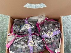 -美家乐农庄·露营·团建(大治路店)