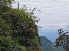 -峨眉山风景名胜区
