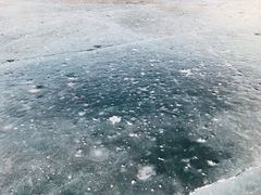-丁香湖公园